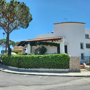 Eucalipto Distrikt Faro
